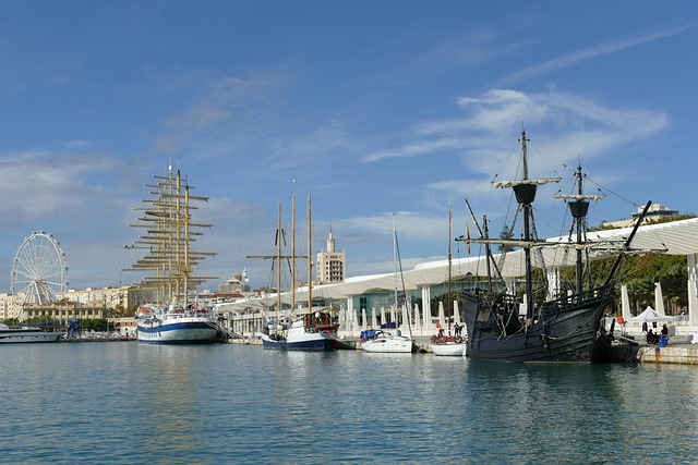 Map-style illustration showing Málaga, Spain as the registered address location